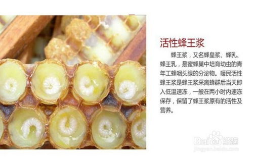 蜂王浆及其制品 自然的馈赠与健康的多面手